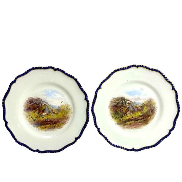 Antique Royal Worcester 1898 George Johnson Hand Painted Game Bird China-17 Pcs - Picture 11 of 16